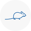 Mice Exterminators In Hazlemere